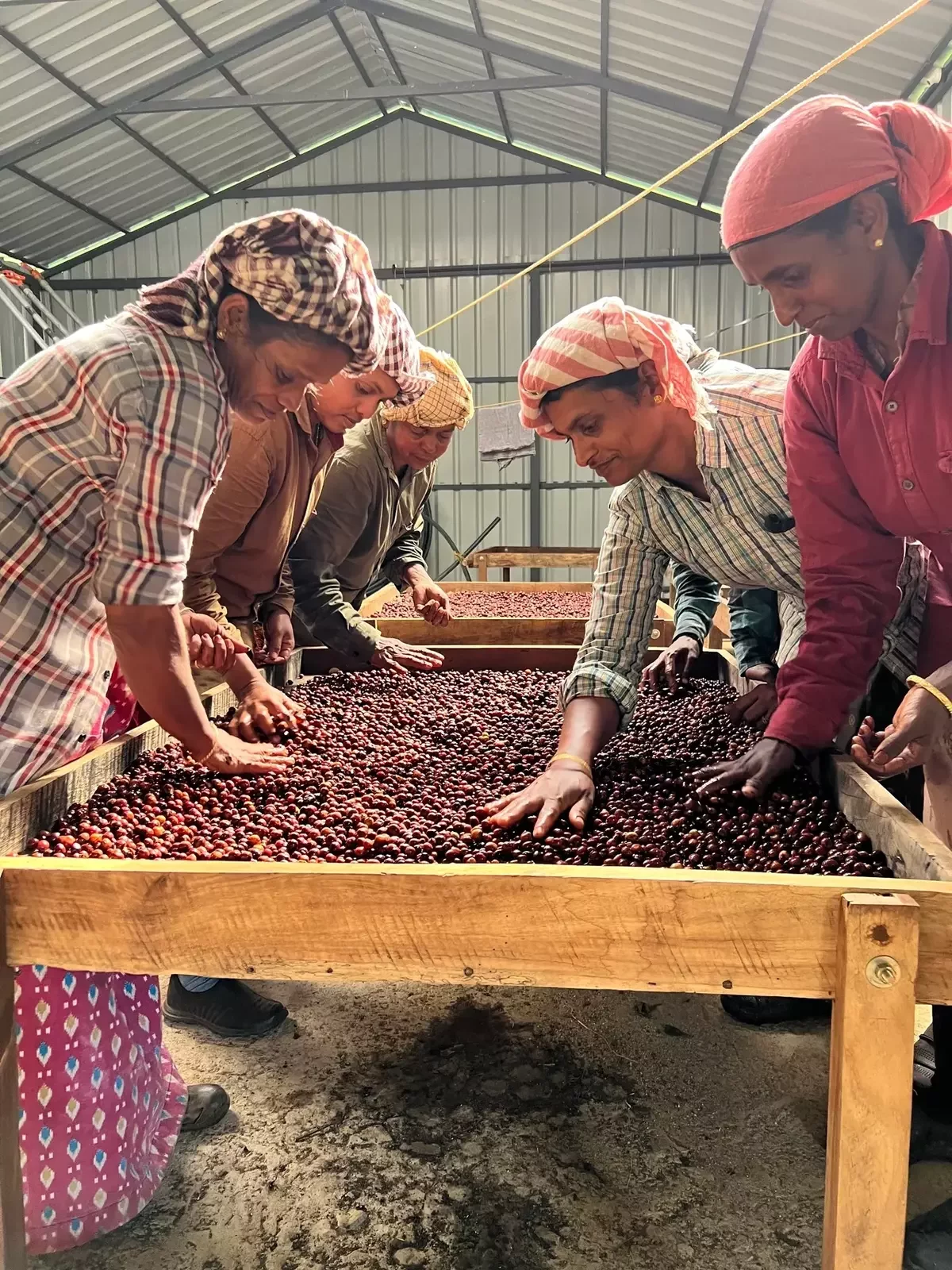 speciality coffee journey